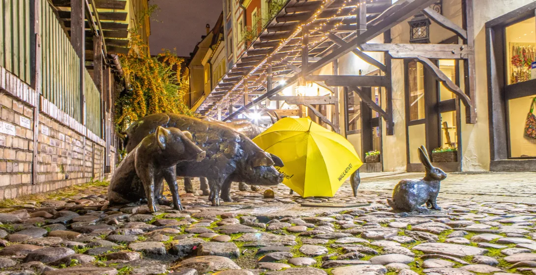 Bronzene Schwein- und Hasenskulpturen auf einer charmanten Kopfsteinpflasterstraße in Breslau bei Nacht.