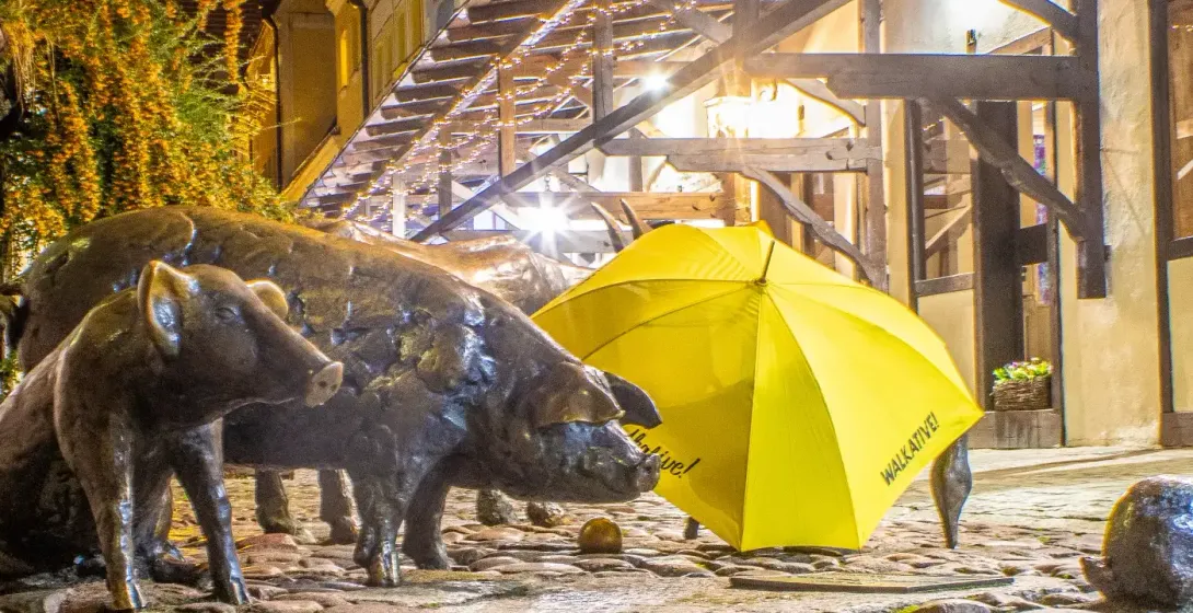 Bronze pig sculptures on a wet cobblestone street at night, with a yellow Walkative umbrella and illuminated buildings.