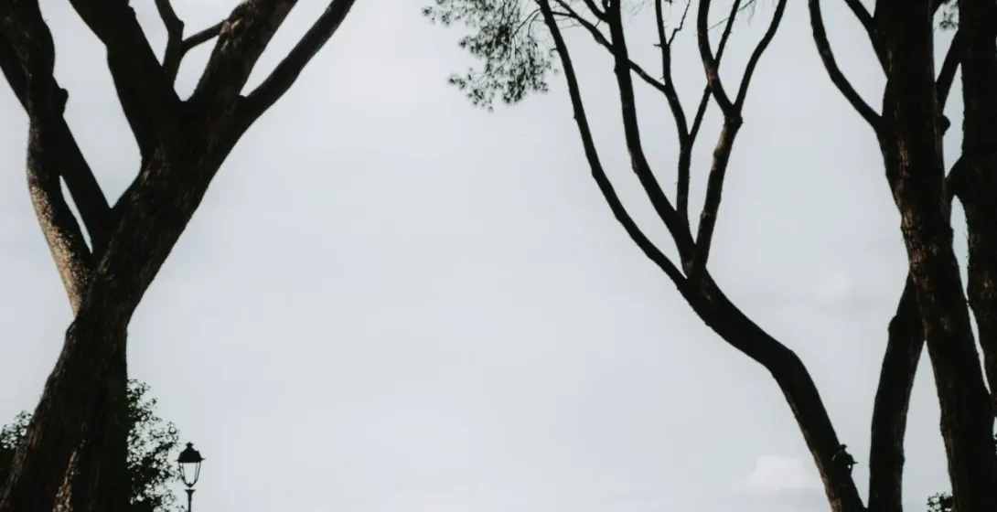 Tourists enjoying a view of St. Peter's Basilica in Rome.