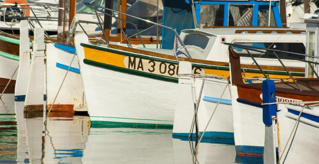 Bows of several boats with white hulls, colorful stripes, and reflections on calm water in a harbor. One boat has 'MA 308'.