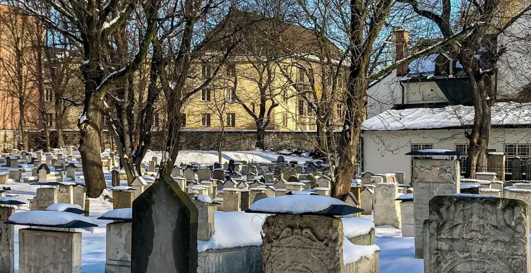 Hileras de antiguas lápidas cubiertas de nieve y árboles sin hojas en un cementerio judío de Cracovia, con edificios al fo...