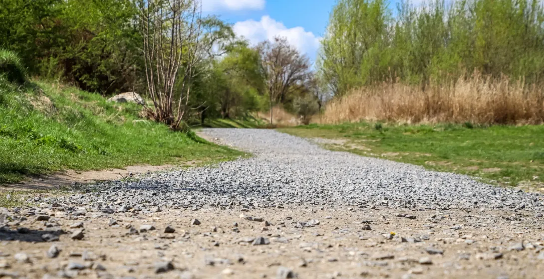 Kiesweg führt durch grünes Gras und Bäume unter blauem Himmel, auf dem Gelände der Gedenkstätte KL Plaszow.