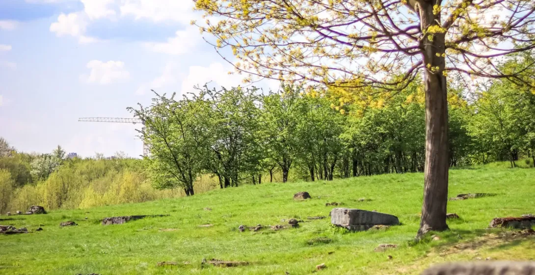 Grüne Wiese mit verstreuten Steinresten und einem Baum mit hellgrünen Frühlingsblättern unter blauem Himmel mit Wolken.