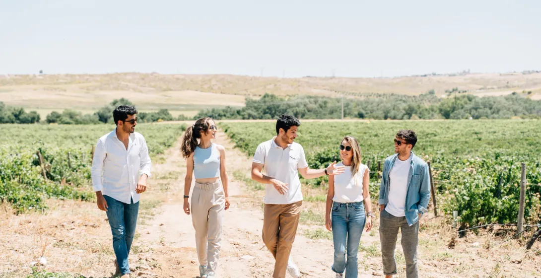 Un grupo de cinco jóvenes pasea por un camino de tierra a través de un viñedo soleado en el campo.