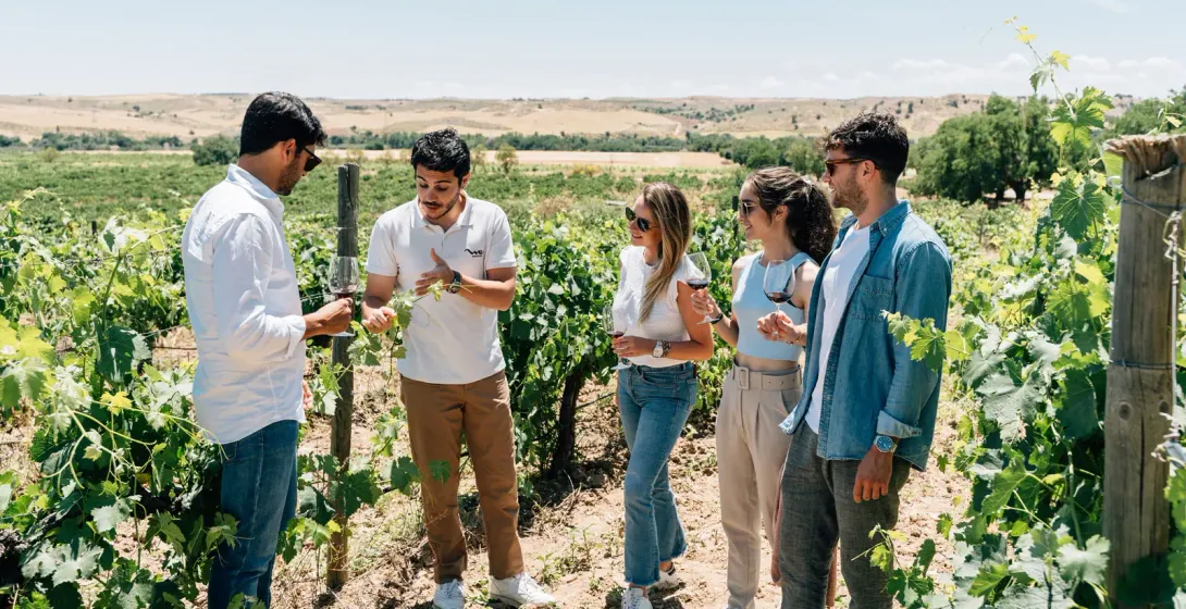 Un grupo de personas en una ruta enológica, de pie entre las viñas en un viñedo soleado, escuchando a un guía.