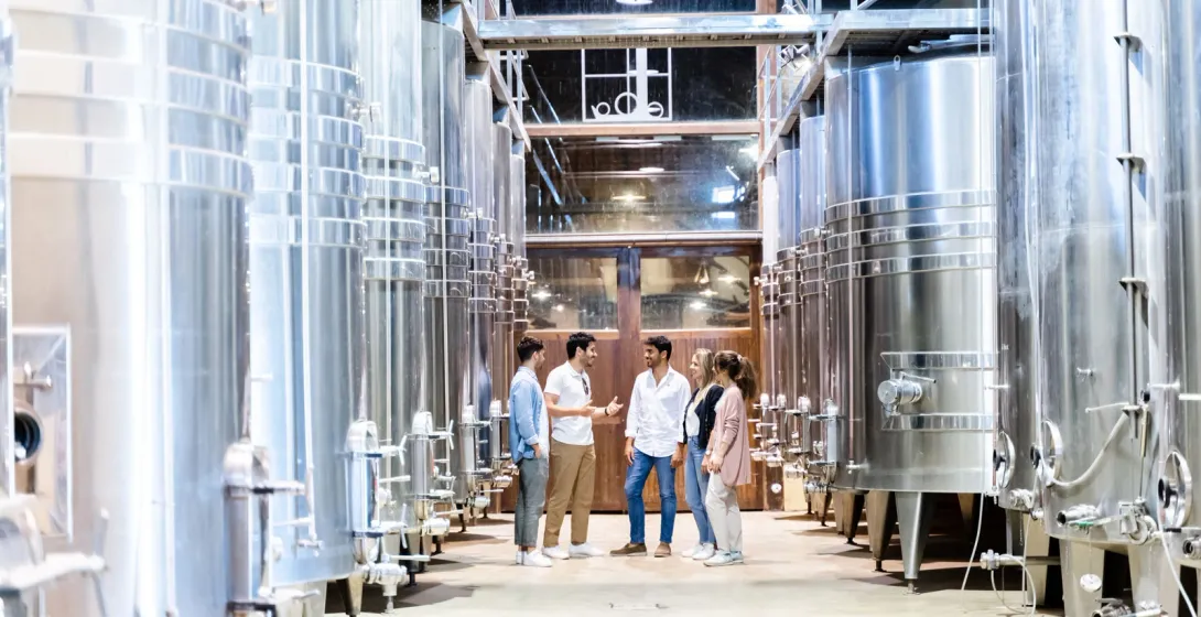 Un grupo de personas en una visita guiada, de pie entre grandes tanques de fermentación de acero inoxidable en una bodega ...