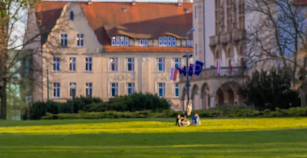 Budynek Collegium Minus z czerwonym dachem i wieżyczkami, zielony trawnik z fioletowymi i białymi tulipanami na pierwszym ...
