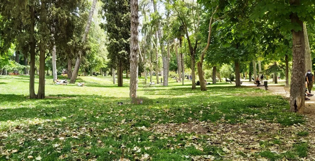 Gente relajándose en un parque verde.