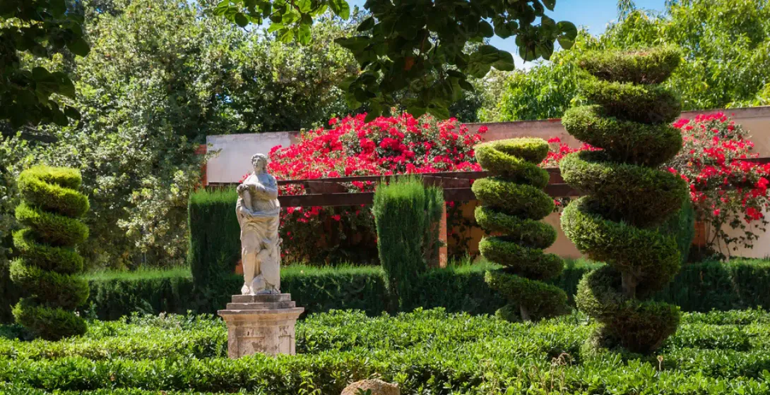 A classical statue in a green hedge garden, with spiral-shaped topiary trees and bright red flowers.