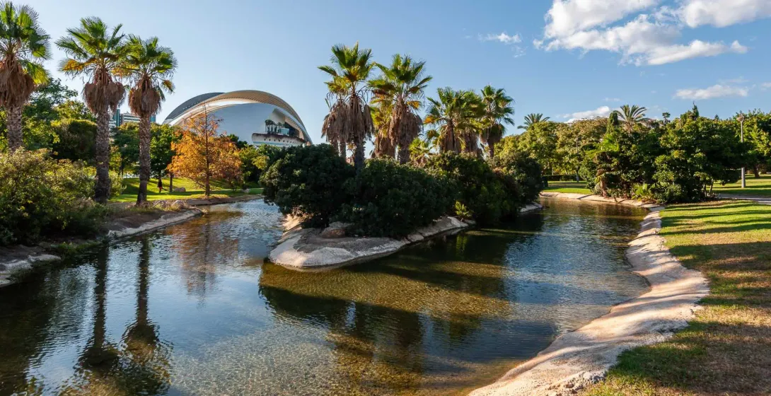 Palm trees and a pond in Valencia’s Turia Gardens, with a modern white building behind