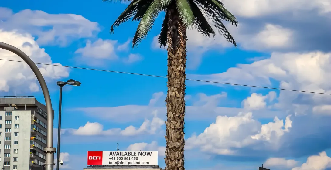 Tall artificial palm tree on a grassy island in a city intersection with buildings, traffic, and pedestrians under a blue ...