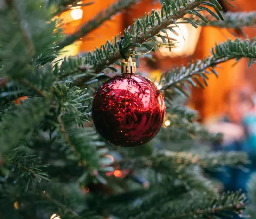 Weihnachten in München - Private Tour: Märkte, Leckereien und festliche Stimmung