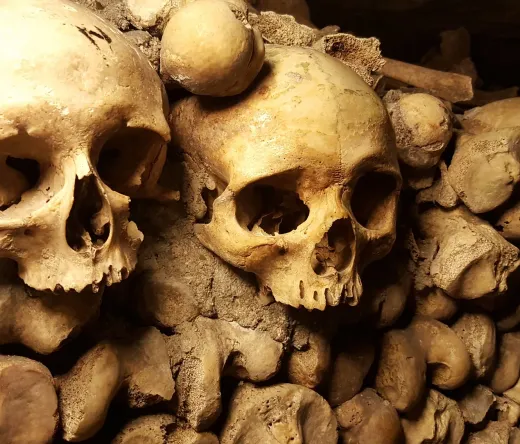 Close-up of skulls and bones in the Paris Catacombs.
