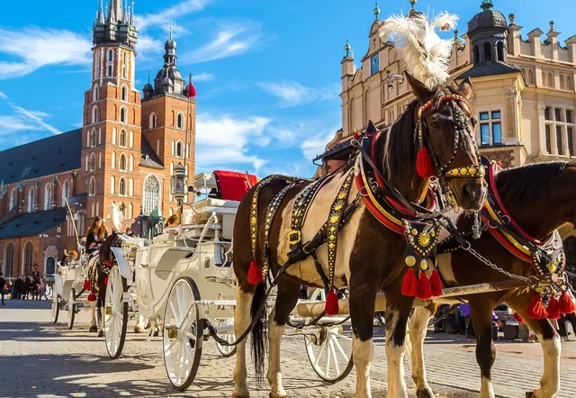 Horse-drawn carriages in Krakow's Main Market Square with St. Mary's Basilica in the background.