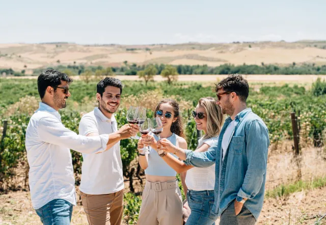 Experiencia Toledo y Tierra de Vinos desde Madrid
