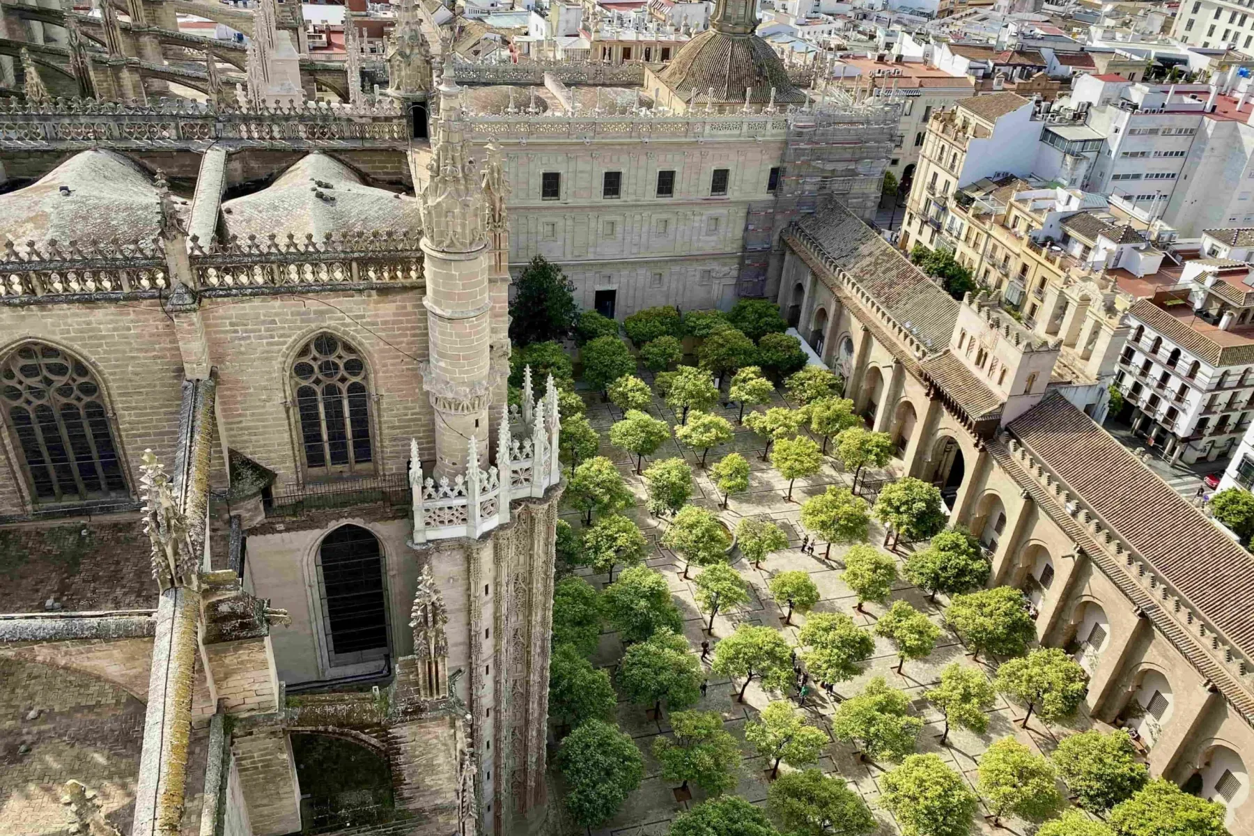 Widok z góry na Dziedziniec Pomarańczowy Katedry w Sewilli, z rzędami drzew pomarańczowych i kamiennymi arkadami.