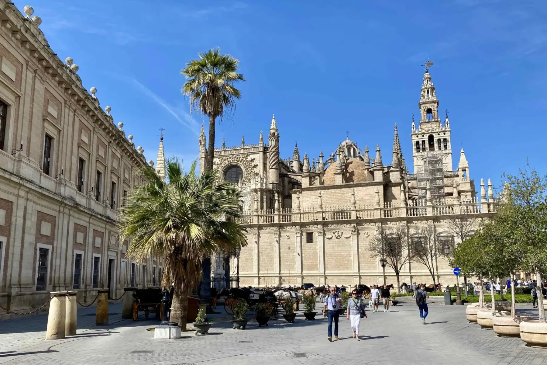 Katedra w Sewilli i dzwonnica Giralda z Archivo General de Indias, palmami i ludźmi na placu.