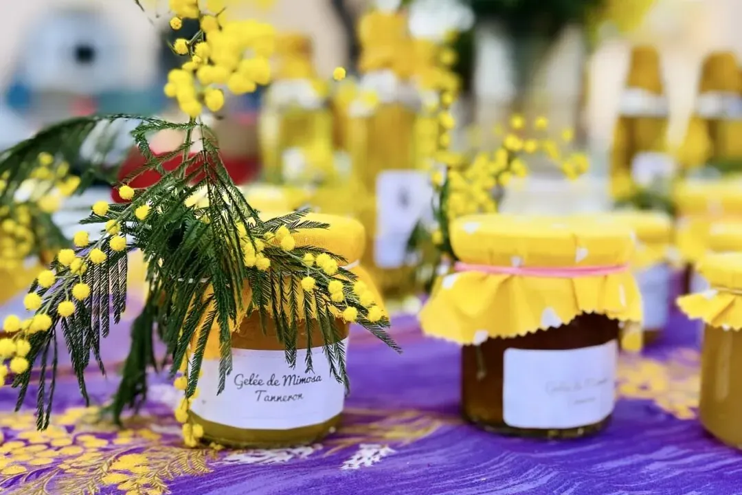 Gläser mit Mimosenmarmelade 'Gelée de Mimosa Tanneron' und frische Mimosenblüten auf einer violett gemusterten Tischdecke.