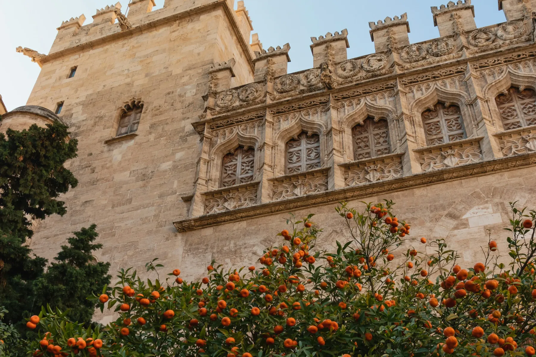 Ornate stone building with gothic windows, carved details, and a flag, partially covered by a tree full of ripe oranges.