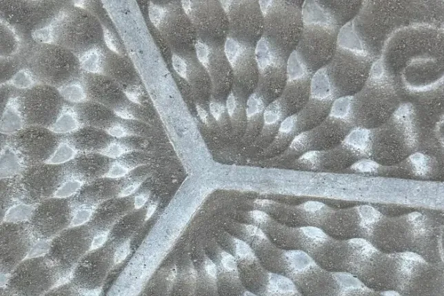 Close-up of a hexagonal tile of the famous Barcelona panot flower pavement, showing a symmetrical floral design.