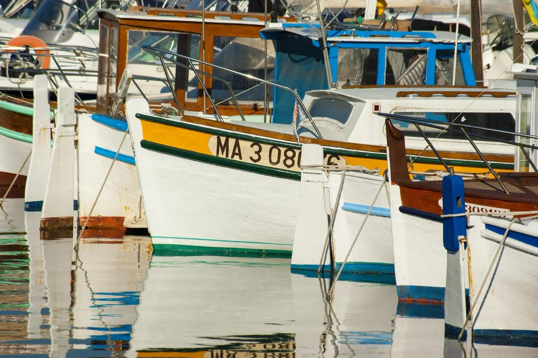 Bows of several boats with white hulls, colorful stripes, and reflections on calm water in a harbor. One boat has 'MA 308'.