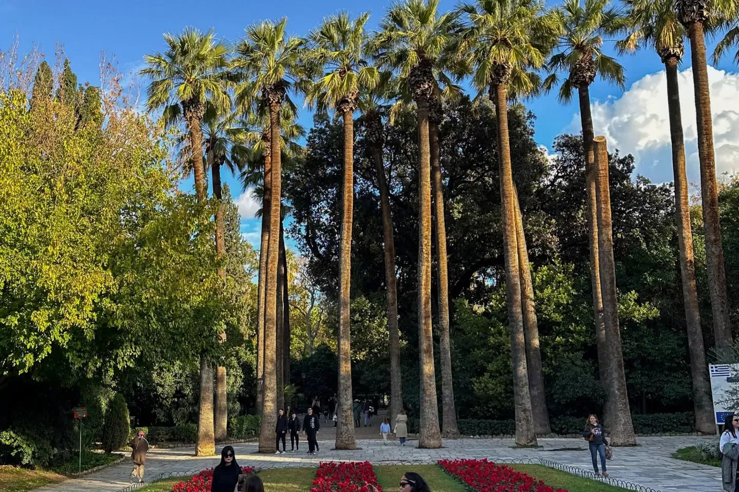 Path in a formal garden with rows of red flowers, tall palm trees, and several people walking under a blue sky.