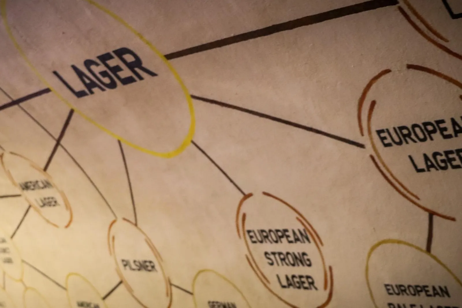 Nahaufnahme eines Diagramms, das verschiedene Lagerbiersorten zeigt, einschließlich europäischer und amerikanischer Varian...
