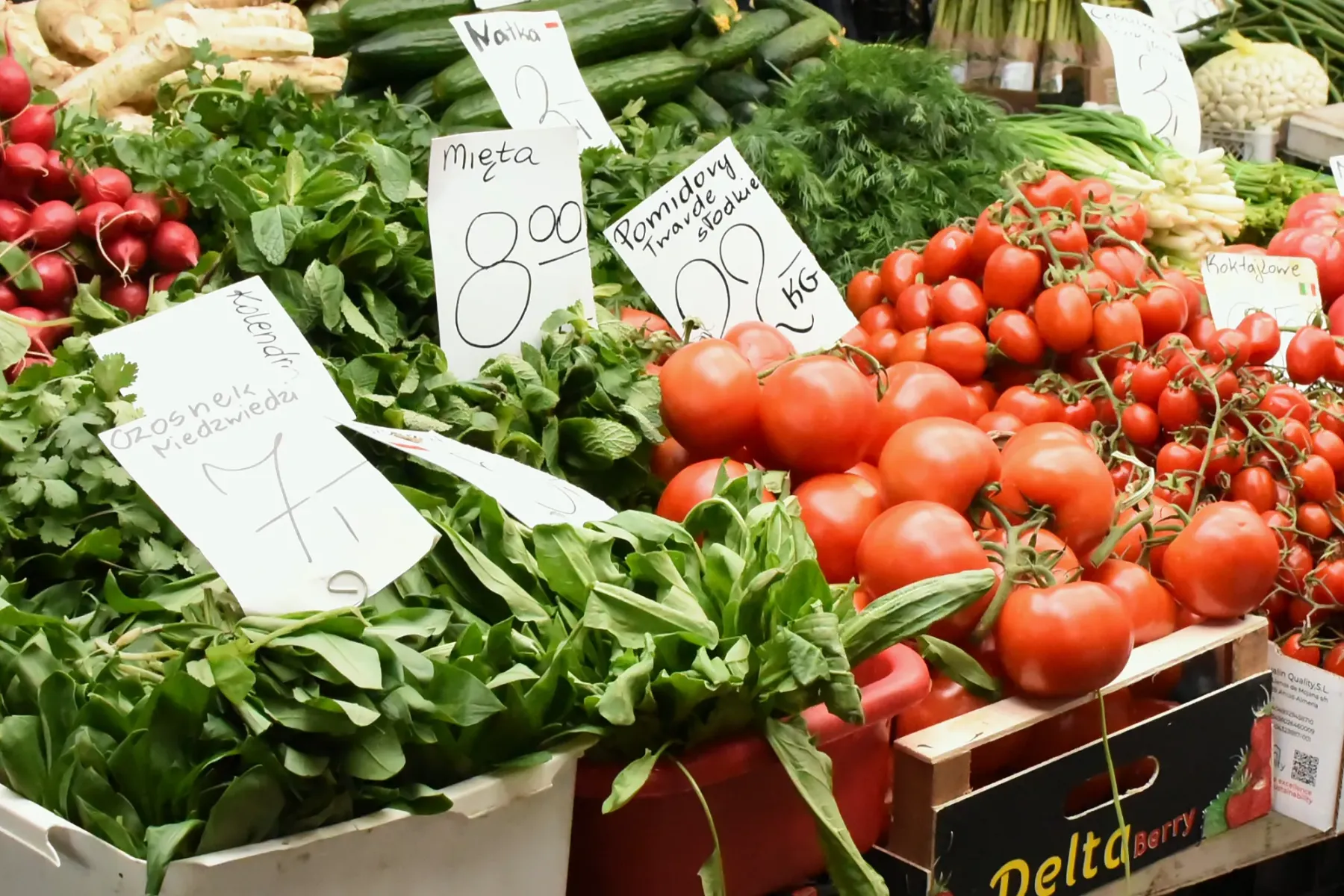 Fresh tomatoes, radishes, and herbs with Polish price tags at a local farmers' market in Krakow.
