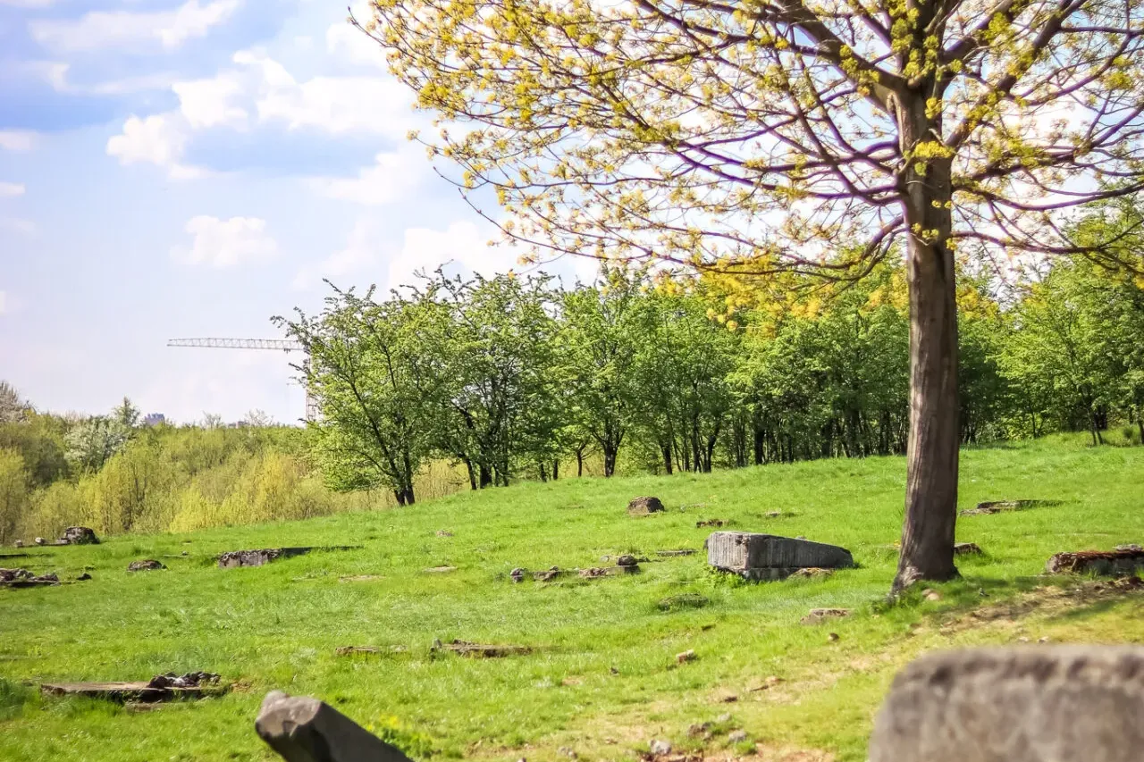 Grüne Wiese mit verstreuten Steinresten und einem Baum mit hellgrünen Frühlingsblättern unter blauem Himmel mit Wolken.