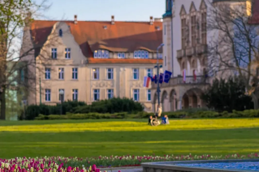 Collegium Minus building with a red roof and turrets, a green lawn with purple and white tulips in the foreground.