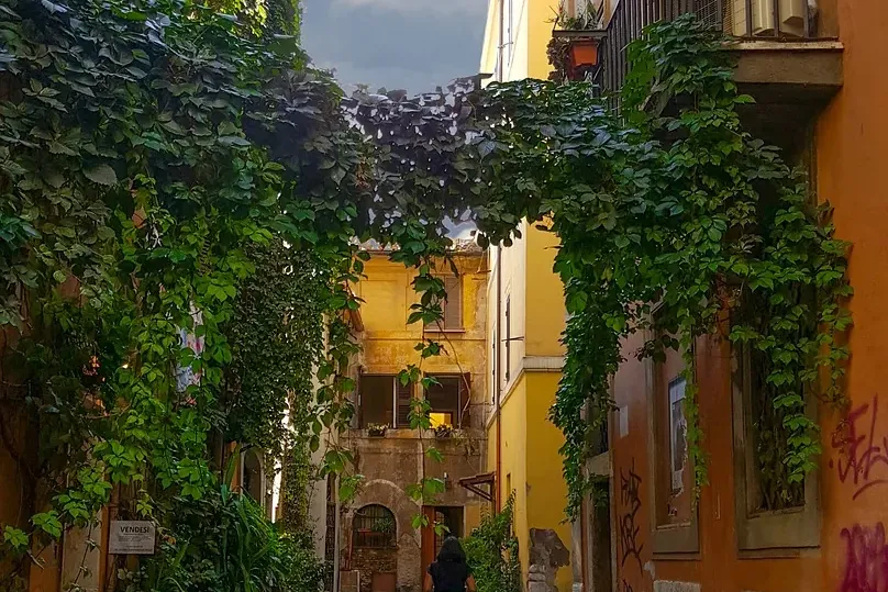 Kopfsteingepflasterte Gasse in Roms Viertel Trastevere mit efeubewachsenen Wänden, historischen Gebäuden und einer Person,...
