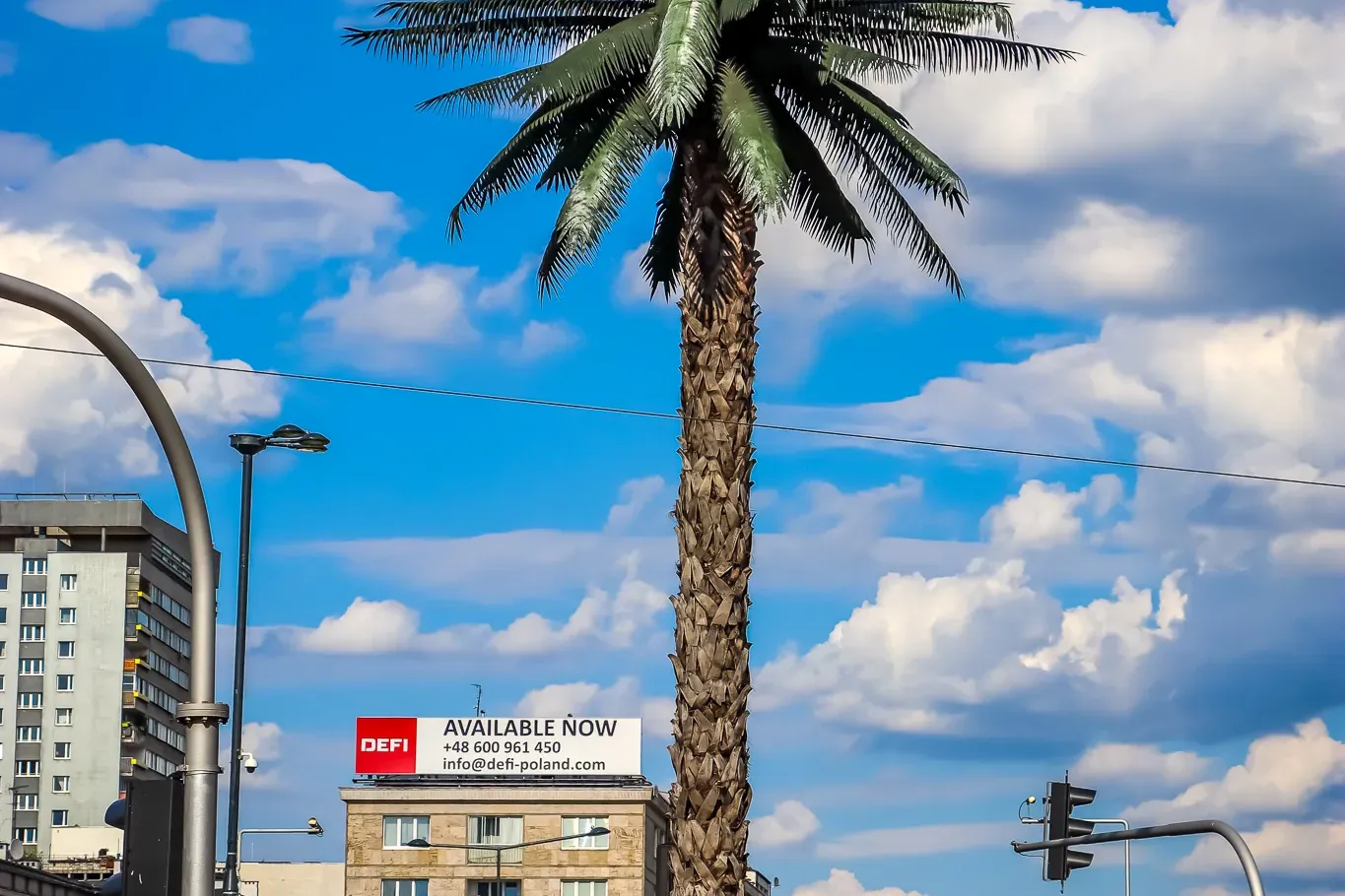 Tall artificial palm tree on a grassy island in a city intersection with buildings, traffic, and pedestrians under a blue ...