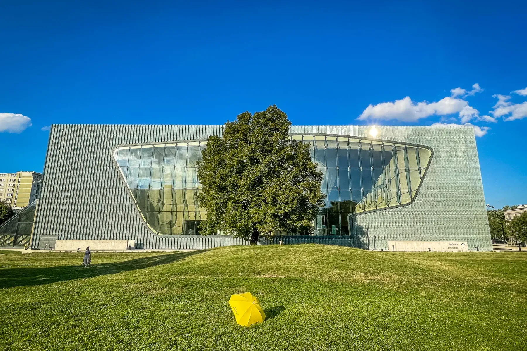 Modernes Museumsgebäude mit geschwungener Glasfassade und Metallpaneelen, einem großen grünen Baum und einem gelben Regens...