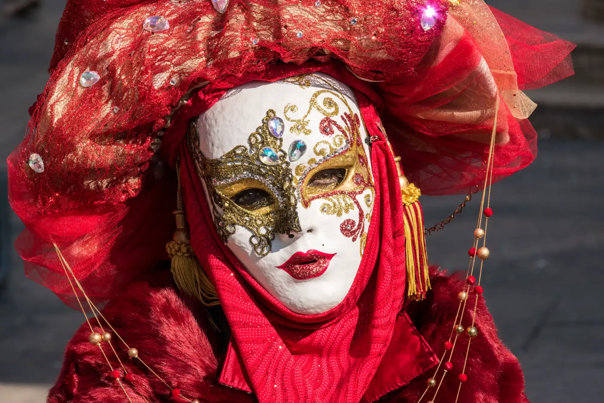 Rome Newsletter - February 2026