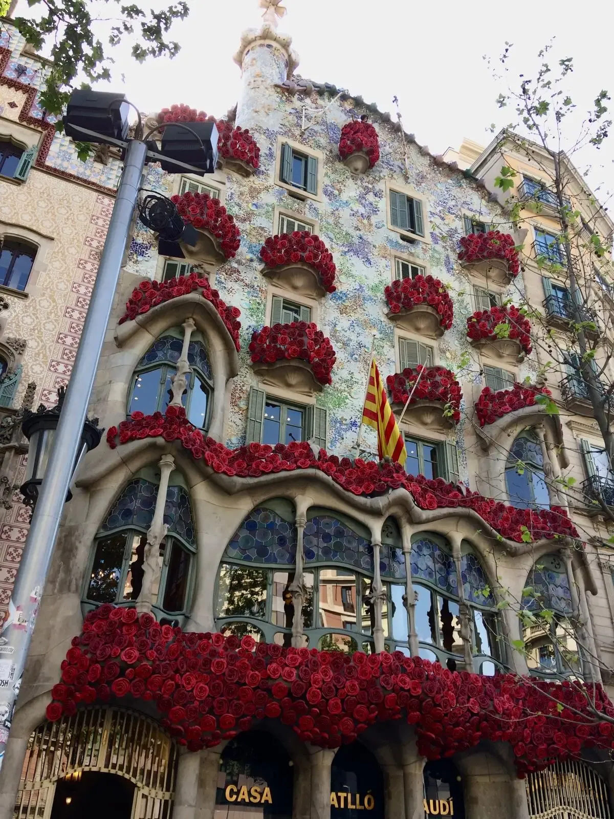 Fasada Casa Batlló w Barcelonie ozdobiona licznymi czerwonymi różami. Widoczna jest organiczna architektura Gaudiego.