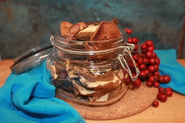 Glass jar with dried sliced mushrooms on a cork mat, next to a bunch of red berries and a blue cloth.