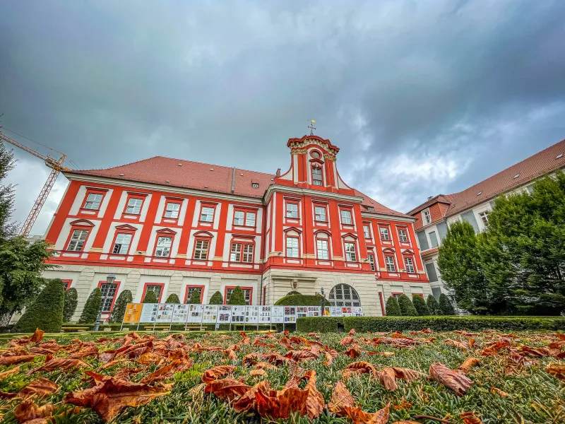 Jesienne liście przed pięknym barokowym budynkiem we Wrocławiu.