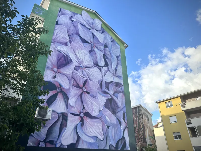 Ein atemberaubendes Wandgemälde mit lila Hortensien schmückt ein Gebäude in Zagreb, Kroatien.