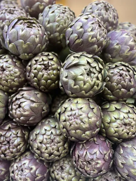 Close-up of fresh artichokes.