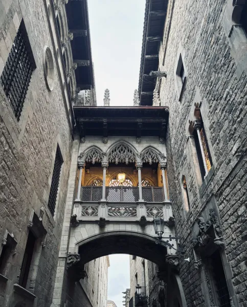 Ornate neo-Gothic stone bridge connecting two buildings over a narrow alleyway in Barcelona's Gothic Quarter.