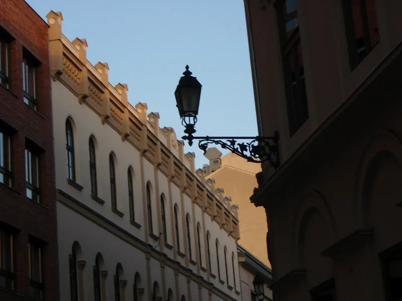 Art Nouveau building facade in Budapest with a decorative street lamp. Light from the side, clear sky.