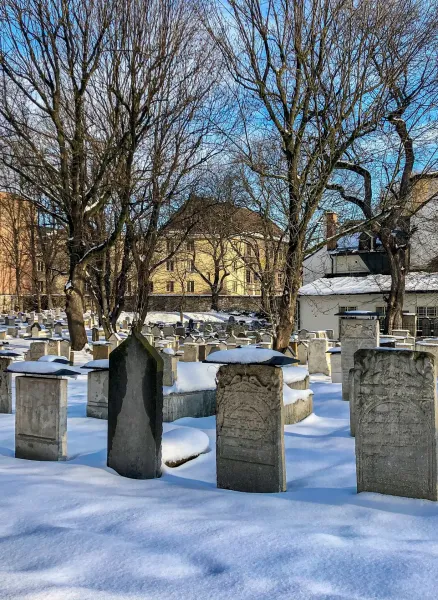Hileras de antiguas lápidas cubiertas de nieve y árboles sin hojas en un cementerio judío de Cracovia, con edificios al fo...