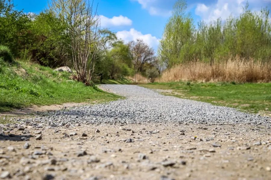 Kiesweg führt durch grünes Gras und Bäume unter blauem Himmel, auf dem Gelände der Gedenkstätte KL Plaszow.
