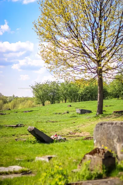 Grüne Wiese mit verstreuten Steinresten und einem Baum mit hellgrünen Frühlingsblättern unter blauem Himmel mit Wolken.