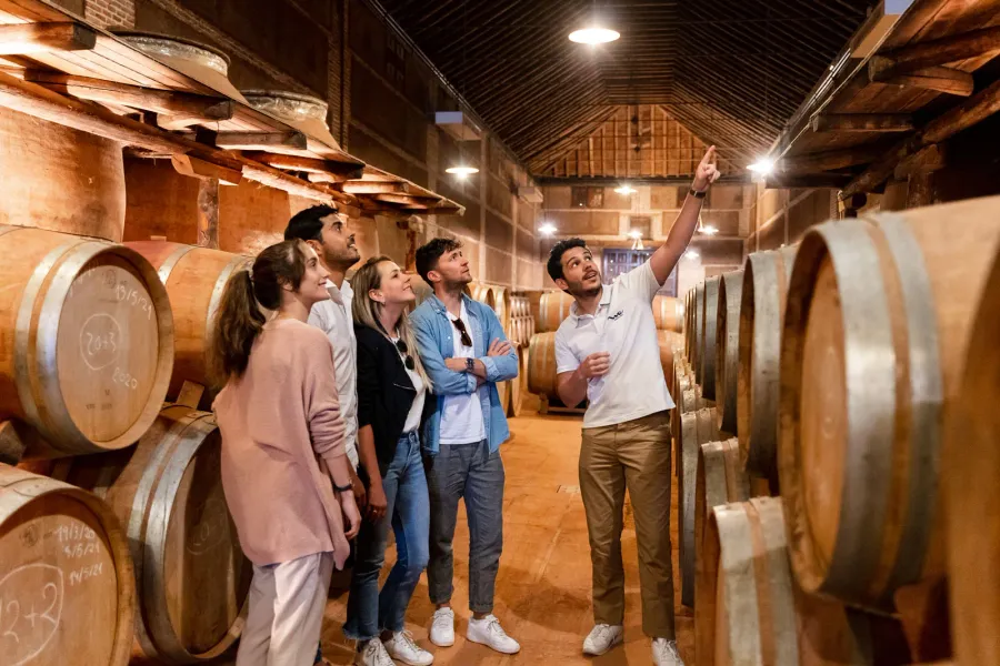 Un guía turístico explica algo a un grupo de visitantes en una bodega rodeada de grandes barricas de madera.