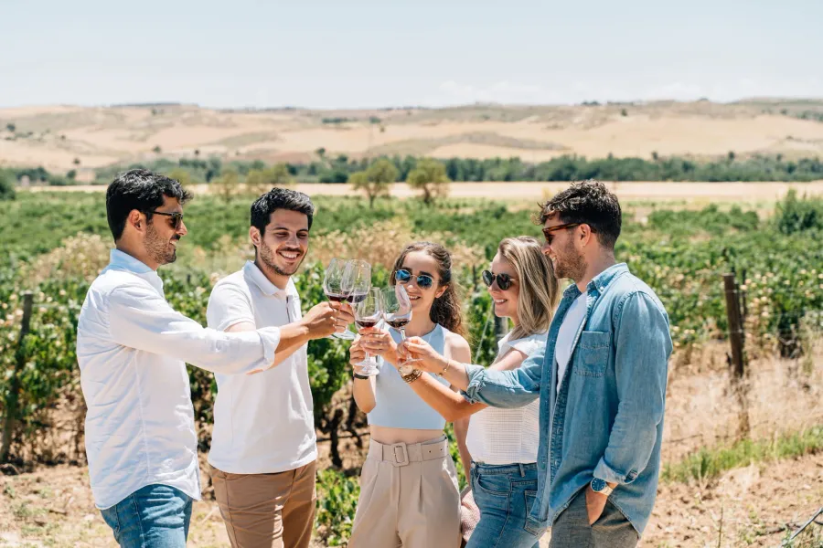 Un grupo de amigos brinda con copas de vino tinto en un viñedo soleado cerca de Madrid.
