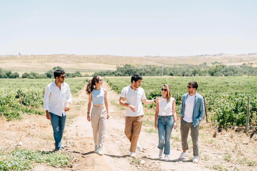 Un grupo de cinco jóvenes pasea por un camino de tierra a través de un viñedo soleado en el campo.