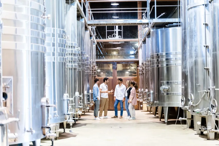 Un grupo de personas en una visita guiada, de pie entre grandes tanques de fermentación de acero inoxidable en una bodega ...