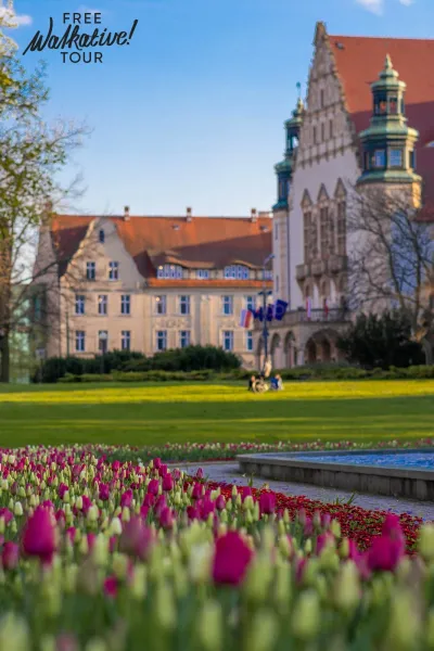 Budynek Collegium Minus z czerwonym dachem i wieżyczkami, zielony trawnik z fioletowymi i białymi tulipanami na pierwszym ...