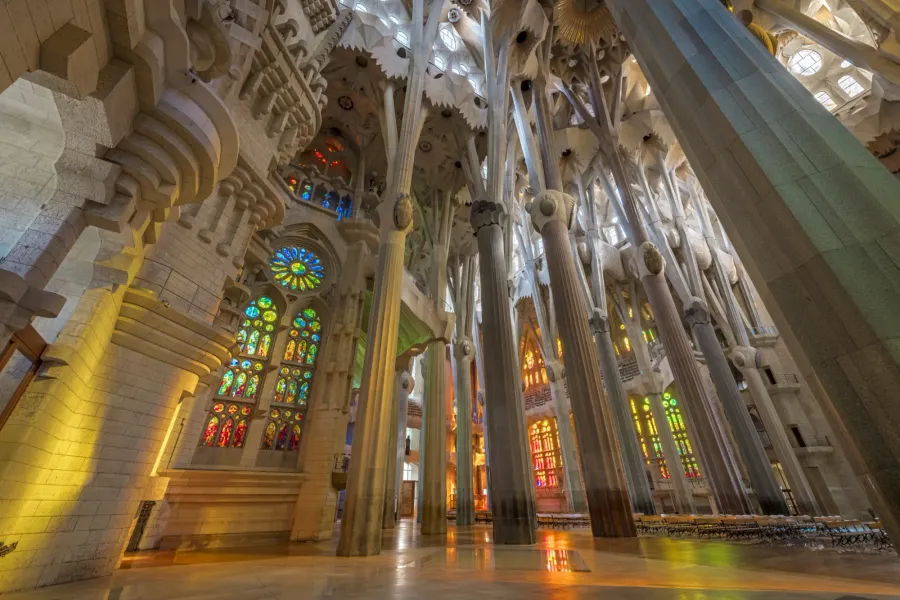 Interior of Sagrada Família with towering columns resembling trees, intricate vaulted ceilings, and colorful stained-glass wi